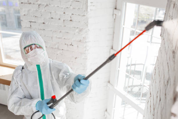 Best Biohazard Mold Removal  in Houma, LA